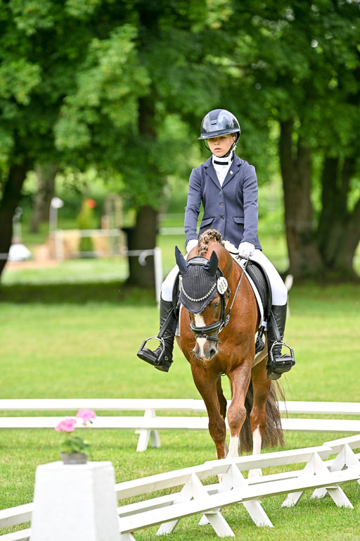  | 30052025 Dressur  (622) 