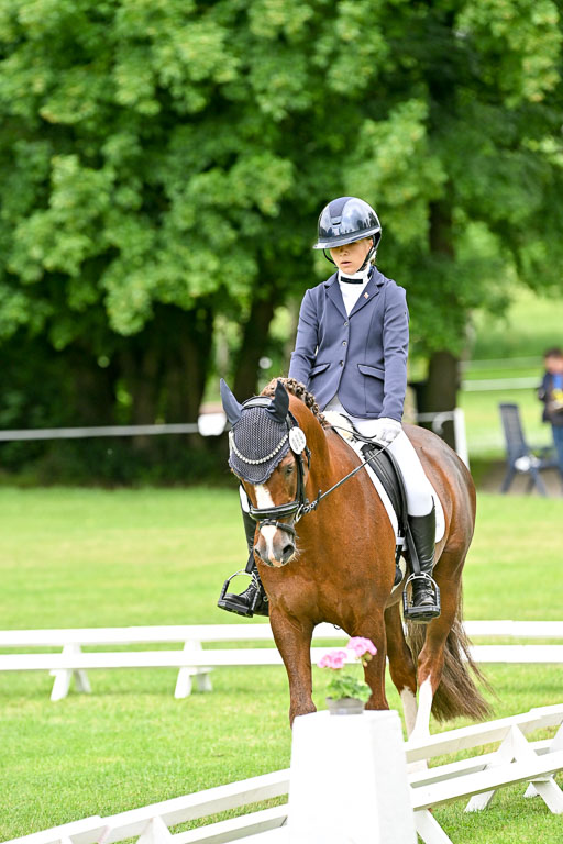  | 30052025 Dressur  (623) 