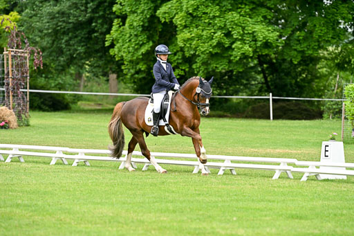  | 30052025 Dressur  (626) 