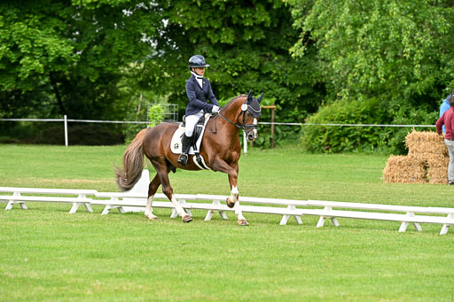  | 30052025 Dressur  (627) 