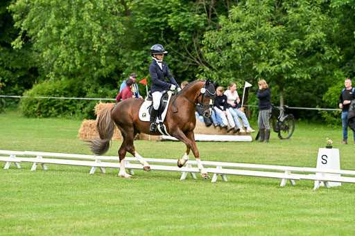  | 30052025 Dressur  (629) 