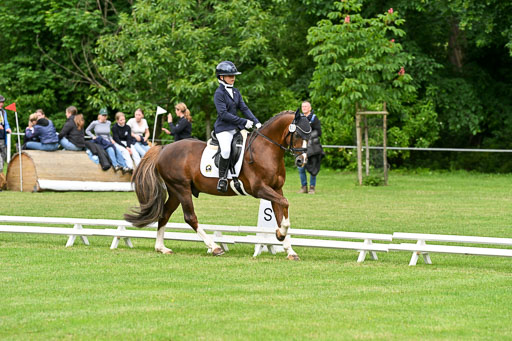  | 30052025 Dressur  (630) 