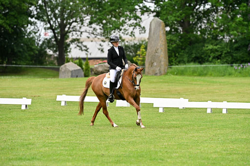  | 30052025 Dressur  (631) 