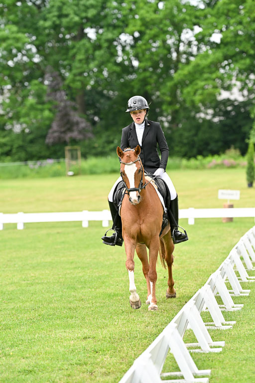  | 30052025 Dressur  (632) 