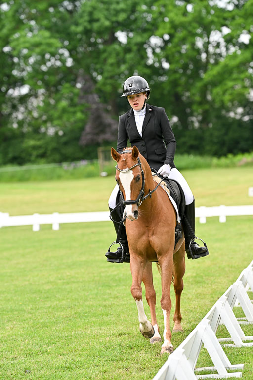  | 30052025 Dressur  (633) 