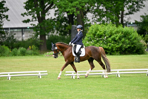  | 30052025 Dressur  (634) 