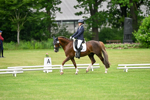  | 30052025 Dressur  (635) 