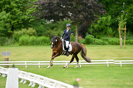  | 30052025 Dressur  (637) 