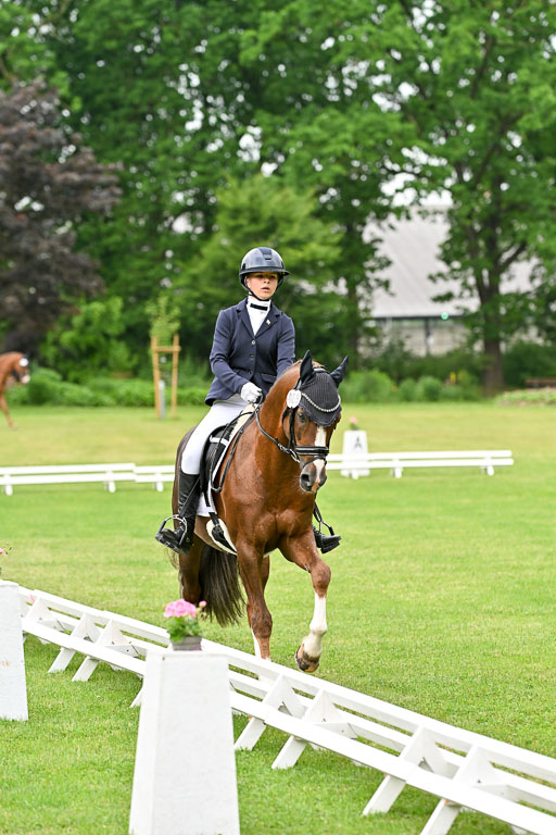  | 30052025 Dressur  (639) 