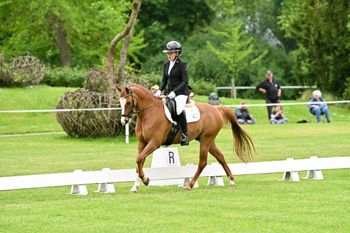  | 30052025 Dressur  (642) 