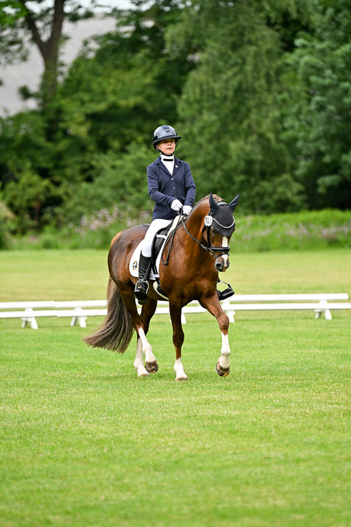  | 30052025 Dressur  (643) 