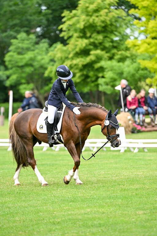  | 30052025 Dressur  (645) 