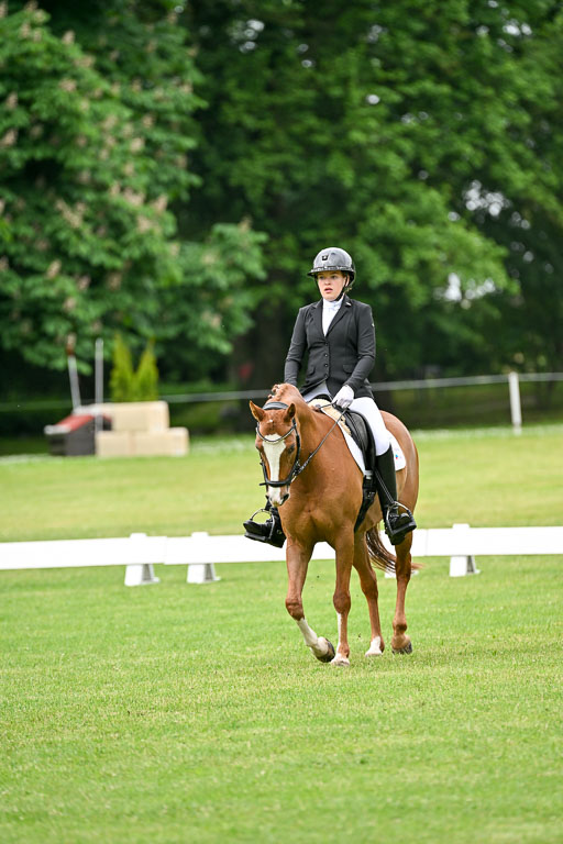  | 30052025 Dressur  (647) 