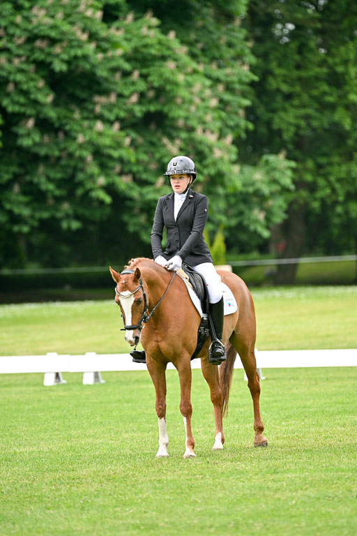  | 30052025 Dressur  (648) 