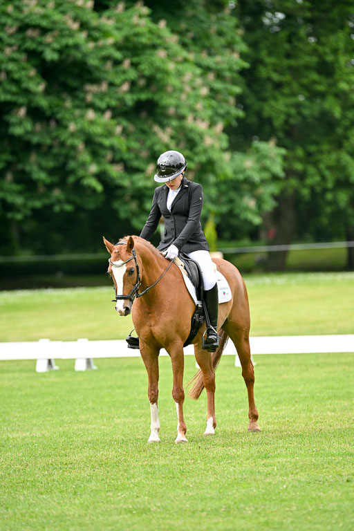  | 30052025 Dressur  (649) 