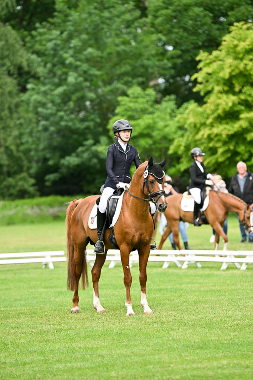  | 30052025 Dressur  (656) 