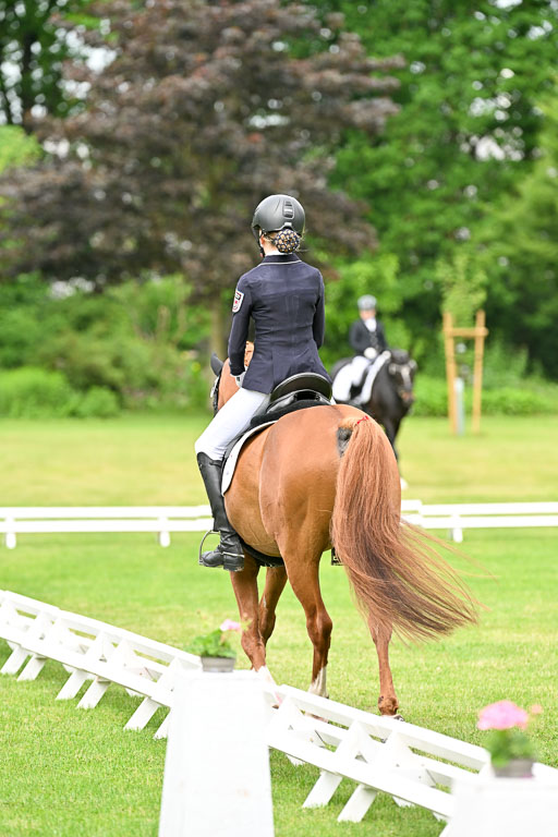  | 30052025 Dressur  (661) 