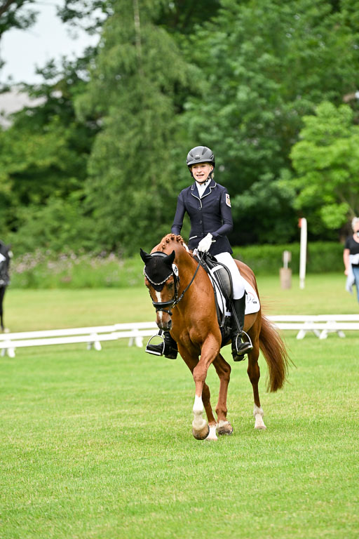  | 30052025 Dressur  (663) 