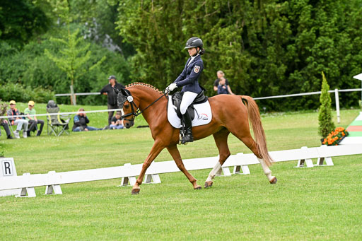  | 30052025 Dressur  (666) 