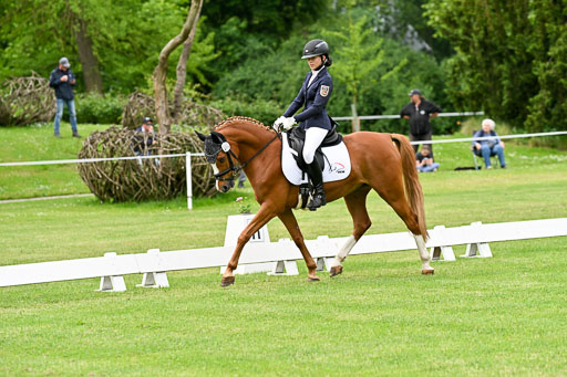  | 30052025 Dressur  (667) 