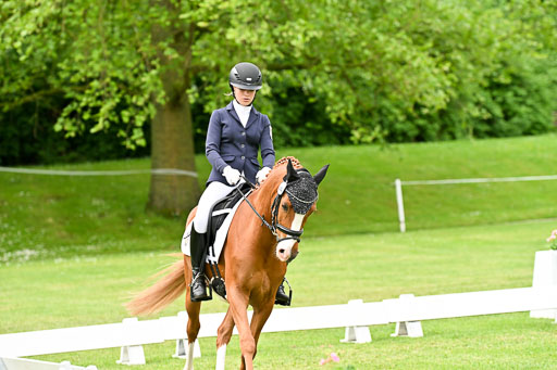  | 30052025 Dressur  (668) 