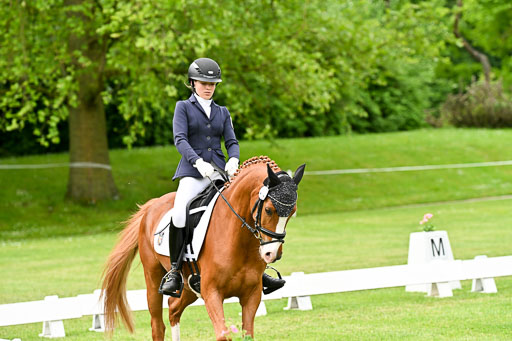  | 30052025 Dressur  (669) 