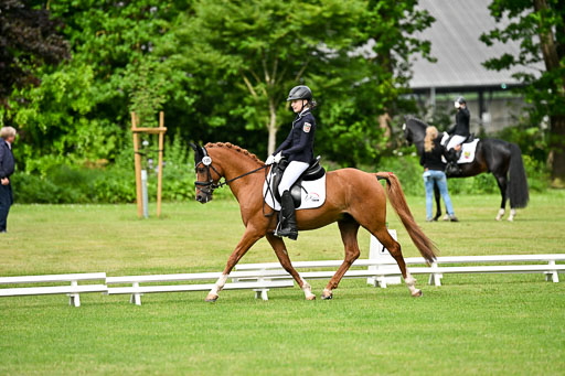  | 30052025 Dressur  (670) 