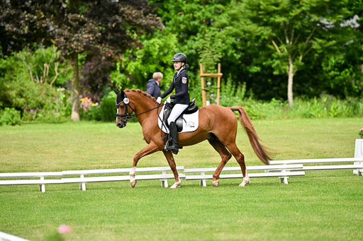  | 30052025 Dressur  (671) 