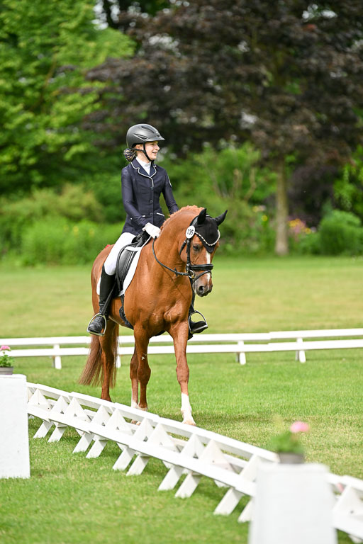  | 30052025 Dressur  (672) 