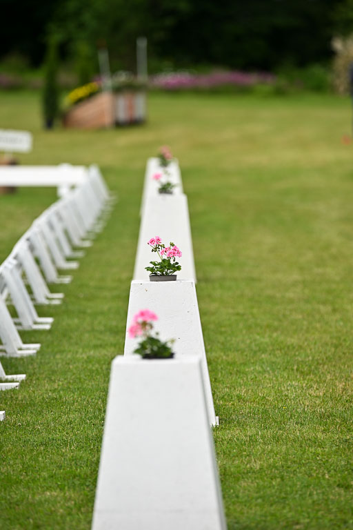  | 30052025 Dressur  (674) 