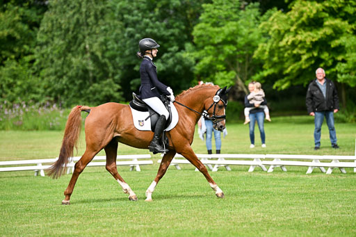  | 30052025 Dressur  (677) 