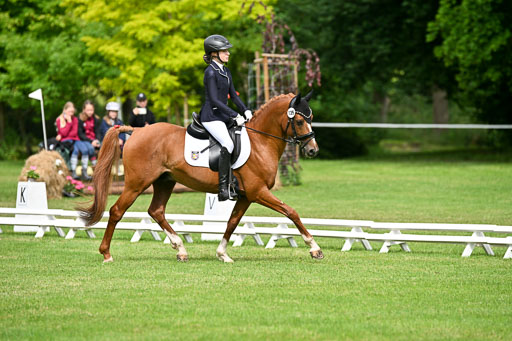  | 30052025 Dressur  (679) 