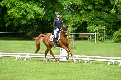  | 30052025 Dressur  (680) 