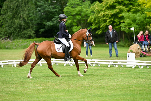  | 30052025 Dressur  (681) 