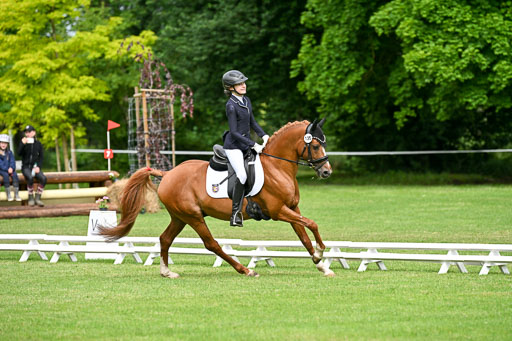  | 30052025 Dressur  (682) 