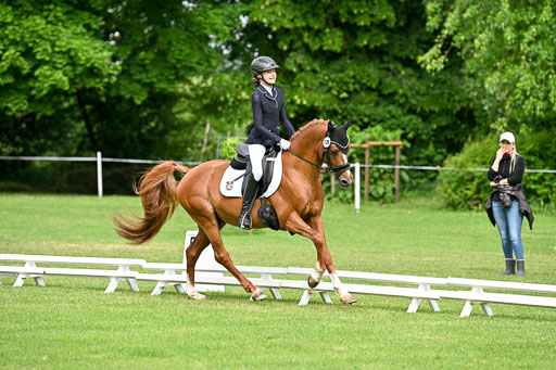  | 30052025 Dressur  (683) 