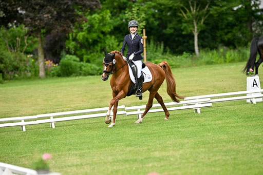  | 30052025 Dressur  (685) 