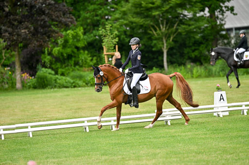  | 30052025 Dressur  (689) 