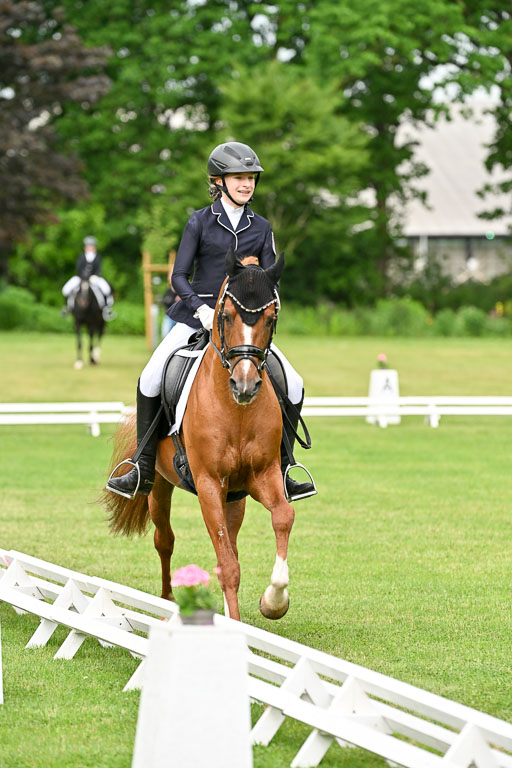  | 30052025 Dressur  (690) 