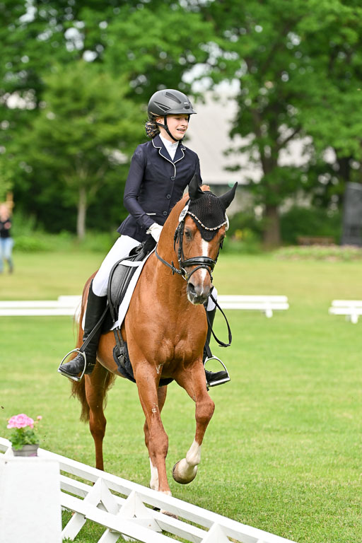  | 30052025 Dressur  (691) 