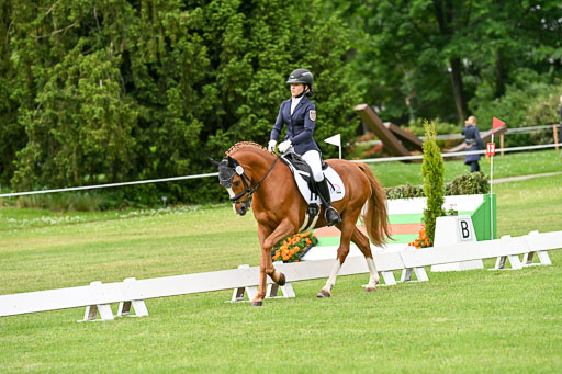  | 30052025 Dressur  (692) 