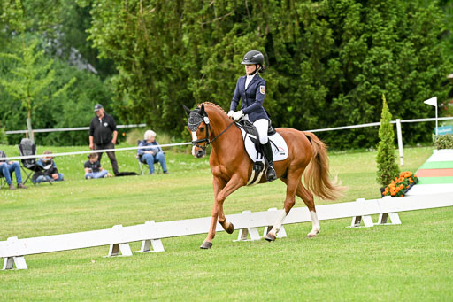  | 30052025 Dressur  (693) 