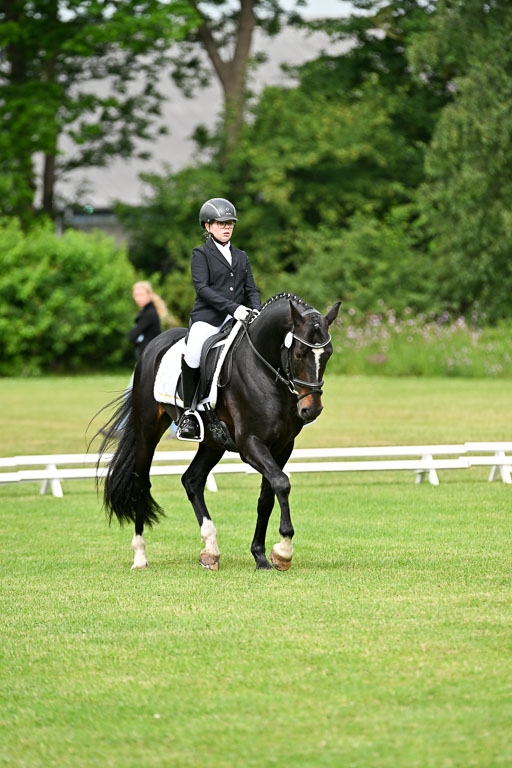  | 30052025 Dressur  (705) 