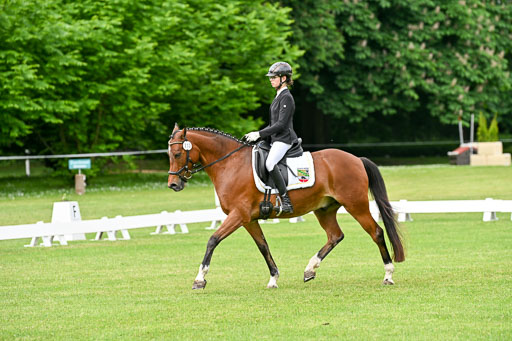  | 30052025 Dressur  (710) 