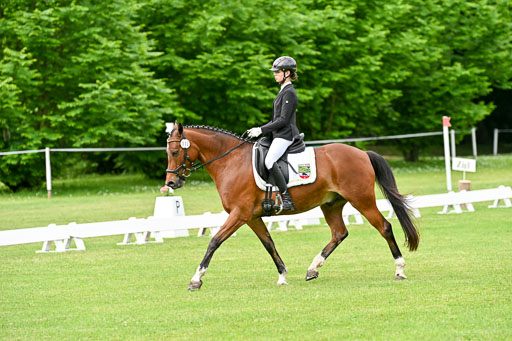  | 30052025 Dressur  (711) 