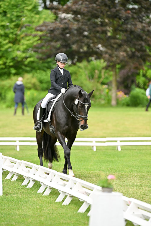  | 30052025 Dressur  (714) 