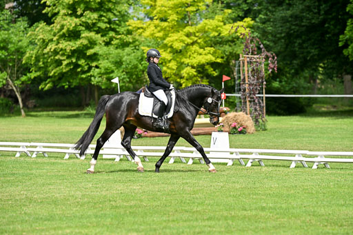  | 30052025 Dressur  (718) 