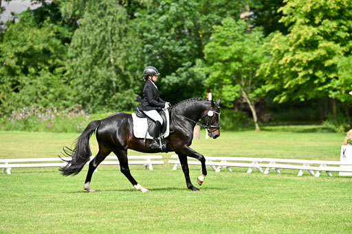  | 30052025 Dressur  (721) 