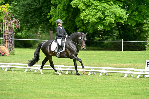  | 30052025 Dressur  (723) 