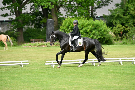  | 30052025 Dressur  (727) 